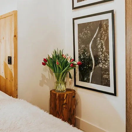 Visitzakopane - Emperor Apartamento *