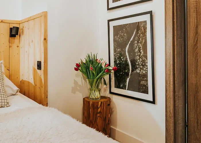 Visitzakopane - Emperor 아파트 *