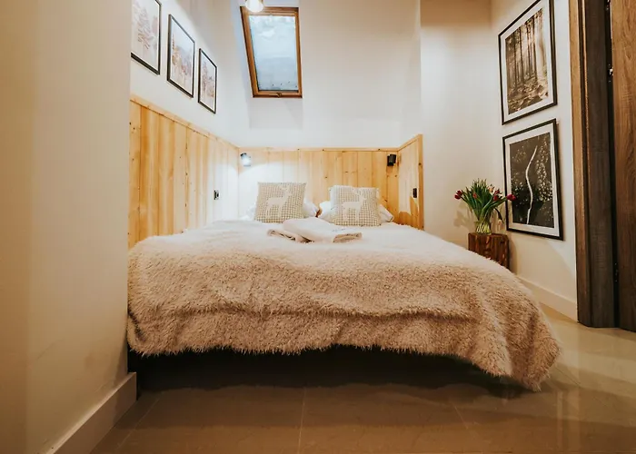 Visitzakopane - Emperor 아파트 자코파네